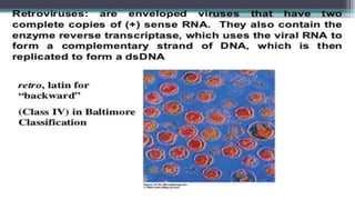 Genetic recombination in bacteria