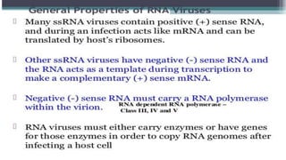 Genetic recombination in bacteria