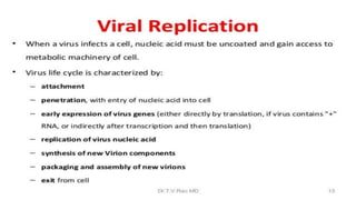 Genetic recombination in bacteria
