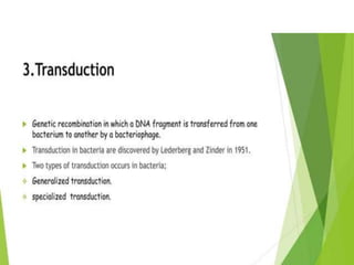Genetic recombination  in bacteria  .pptx