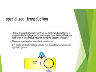 Genetic recombination  in bacteria  .pptx