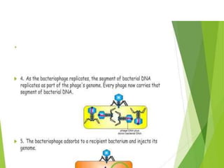 Genetic recombination  in bacteria  .pptx