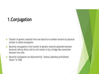 Genetic recombination  in bacteria  .pptx