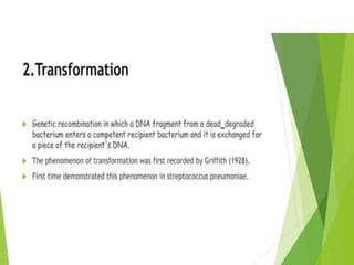 Genetic recombination  in bacteria  .pptx