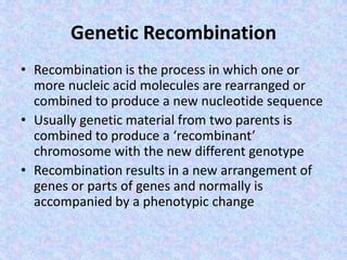 Genetic Recombination
• Recombination is the process in which one or
more nucleic acid molecules are rearranged or
combined to produce a new nucleotide sequence
• Usually genetic material from two parents is
combined to produce a ‘recombinant’
chromosome with the new different genotype
• Recombination results in a new arrangement of
genes or parts of genes and normally is
accompanied by a phenotypic change
 