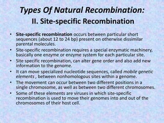 Types Of Natural Recombination:
II. Site-specific Recombination
• Site-specific recombination occurs between particular short
sequences (about 12 to 24 bp) present on otherwise dissimilar
parental molecules.
• Site-specific recombination requires a special enzymatic machinery,
basically one enzyme or enzyme system for each particular site.
• Site specific recombination, can alter gene order and also add new
information to the genome.
• It can move specialized nucleotide sequences, called mobile genetic
elements , between nonhomologous sites within a genome.
• The movement can occur between two different positions in a
single chromosome, as well as between two different chromosomes.
• Some of these elements are viruses in which site-specific
recombination is used to move their genomes into and out of the
chromosomes of their host cell.
 