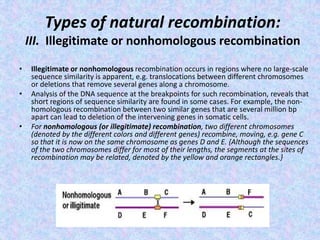 Types of natural recombination:
III. Illegitimate or nonhomologous recombination
• Illegitimate or nonhomologous recombination occurs in regions where no large-scale
sequence similarity is apparent, e.g. translocations between different chromosomes
or deletions that remove several genes along a chromosome.
• Analysis of the DNA sequence at the breakpoints for such recombination, reveals that
short regions of sequence similarity are found in some cases. For example, the non-
homologous recombination between two similar genes that are several million bp
apart can lead to deletion of the intervening genes in somatic cells.
• For nonhomologous (or illegitimate) recombination, two different chromosomes
(denoted by the different colors and different genes) recombine, moving, e.g. gene C
so that it is now on the same chromosome as genes D and E. {Although the sequences
of the two chromosomes differ for most of their lengths, the segments at the sites of
recombination may be related, denoted by the yellow and orange rectangles.}
 