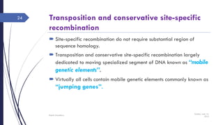 Transposition and conservative site-specific
recombination
 Site-specific recombination do not require substantial region of
sequence homology.
 Transposition and conservative site-specific recombination largely
dedicated to moving specialized segment of DNA known as “mobile
genetic elements”.
 Virtually all cells contain mobile genetic elements commonly known as
“jumping genes”.
Sunday, June 12,
2016
Rajesh Chaudhary
24
 