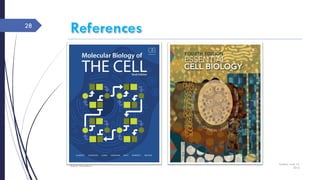 Sunday, June 12,
2016
Rajesh Chaudhary
28
 