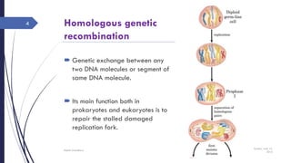 Homologous genetic
recombination
 Genetic exchange between any
two DNA molecules or segment of
same DNA molecule.
 Its main function both in
prokaryotes and eukaryotes is to
repair the stalled damaged
replication fork.
Sunday, June 12,
2016
Rajesh Chaudhary
4
 