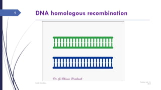 DNA homologous recombination
Sunday, June 12,
2016
Rajesh Chaudhary
9
 