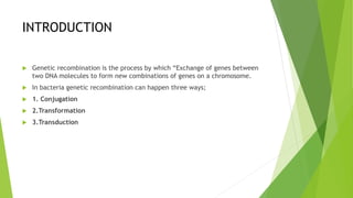 INTRODUCTION
 Genetic recombination is the process by which “Exchange of genes between
two DNA molecules to form new combinations of genes on a chromosome.
 In bacteria genetic recombination can happen three ways;
 1. Conjugation
 2.Transformation
 3.Transduction
 