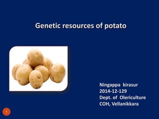 Genetic resources of potato
Ningappa kirasur
2014-12-129
Dept. of Olericulture
COH, Vellanikkara
1
 