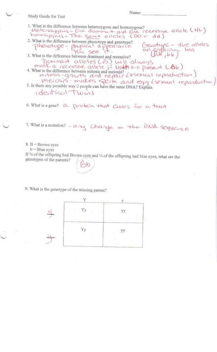 Zork Genetics Worksheet Answers Ivuyteq Zork Genetics Worksheet Answers Ivuyteq