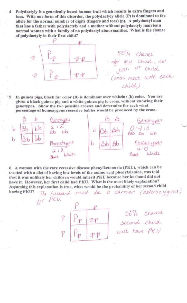 Zork Genetics Worksheet Answers