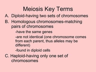 Meiosis Key Terms Diploid-having two sets of chromosomes Homologous chromosomes-matching pairs of chromosomes -have the same genes -are not identical (one chromosome comes from each parent, thus alleles may be different) -found in diploid cells C. Haploid-having only one set of chromosomes 