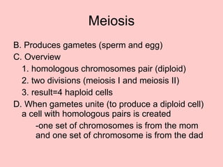 Meiosis B. Produces gametes (sperm and egg) C. Overview 1. homologous chromosomes pair (diploid) 2. two divisions (meiosis I and meiosis II) 3. result=4 haploid cells D. When gametes unite (to produce a diploid cell) a cell with homologous pairs is created -one set of chromosomes is from the mom  and one set of chromosome is from the dad 