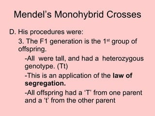 Mendel’s Monohybrid Crosses D. His procedures were: 3. The F1 generation is the 1 st  group of offspring. -All  were tall, and had a  heterozygous  genotype. (Tt) -This is an application of the  law of  segregation.   -All offspring had a ‘T’ from one parent  and a ‘t’ from the other parent 