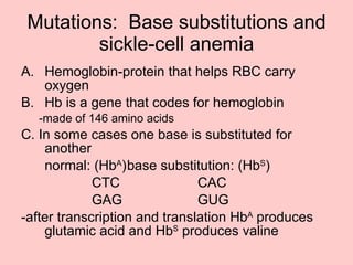 Hemoglobin-protein that helps RBC carry oxygen Hb is a gene that codes for hemoglobin -made of 146 amino acids C. In some cases one base is substituted for another normal: (Hb A ) base substitution: (Hb S )  CTC CAC GAG GUG -after transcription and translation Hb A  produces glutamic acid and Hb S  produces valine Mutations:  Base substitutions and sickle-cell anemia 
