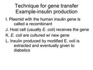 Technique for gene transfer Example-insulin production I. Plasmid with the human insulin gene is called a recombinant J. Host cell (usually  E. coli ) receives the gene K.  E. coli  are cultured w/ new gene L. Insulin produced by modified E. coli is extracted and eventually given to diabetics 