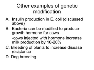 Other examples of genetic modification Insulin production in E. coli (discussed above) Bacteria can be modified to produce growth hormone for cows -cows injected with hormone increase milk production by 10-20% C. Breeding of plants to increase disease resistance D. Dog breeding 