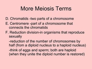 More Meiosis Terms D. Chromatids -two parts of a chromosome E. Centromere -part of a chromosome that connects the chromatids F. Reduction division-in organisms that reproduce sexually  -reduction of the number of chromosomes by half (from a diploid nucleus to a haploid nucleus) -think of eggs and sperm; both are haploid (when they unite the diploid number is restored) 