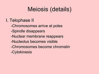I. Telophase II -Chromosomes arrive at poles -Spindle disappears -Nuclear membrane reappears -Nucleolus becomes visible -Chromosomes become chromatin -Cytokinesis Meiosis (details) 