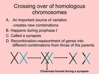 An important source of variation -creates new combinations B. Happens during prophase I  C. Called a synapsis D. Recombination-reassortment of genes into different combinations from those of the parents Crossing over of homologous chromosomes Chiasmata formed during a synapsis 