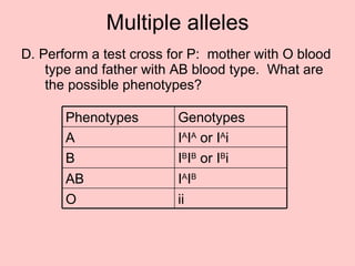 Multiple alleles D. Perform a test cross for P:  mother with O blood type and father with AB blood type.  What are the possible phenotypes? ii O I A I B AB I B I B  or I B i B I A I A  or I A i A Genotypes Phenotypes 