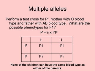 Perform a test cross for P:  mother with O blood type and father with AB blood type.  What are the possible phenotypes for F1?   P = ii x I A I B  Multiple alleles None of the children can have the same blood type as either of the parents. I B  i I B  i I B I A  i I A  i I A i i 