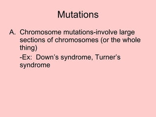 Mutations Chromosome mutations-involve large sections of chromosomes (or the whole thing) -Ex:  Down’s syndrome, Turner’s syndrome 