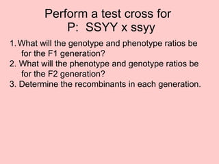 Perform a test cross for   P:  SSYY x ssyy What will the genotype and phenotype ratios be  for the F1 generation? 2. What will the phenotype and genotype ratios be  for the F2 generation? 3. Determine the recombinants in each generation. 