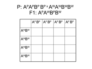 P: A P A P B P  B P x  A W A W B W B W   F1: A P A W B P B W   A W B W A W B W A W B W A W B W A P  B P A P  B P A P  B P A P  B P 