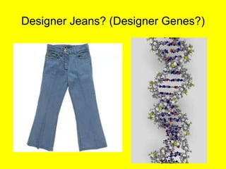Designer Jeans? (Designer Genes?) 