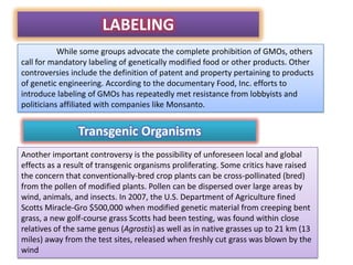 LABELING	While some groups advocate the complete prohibition of GMOs, others call for mandatory labeling ofgenetically modified foodor other products. Other controversies include the definition of patent and property pertaining to products of genetic engineering. According to the documentary Food, Inc. efforts to introduce labeling of GMOs has repeatedly met resistance from lobbyists and politicians affiliated with companies like Monsanto.Transgenic OrganismsAnother important controversy is the possibility of unforeseen local and global effects as a result of transgenic organisms proliferating. Some critics have raised the concern that conventionally-bred crop plants can be cross-pollinated (bred) from the pollen of modified plants. Pollen can be dispersed over large areas by wind, animals, and insects. In 2007, the U.S. Department of Agriculture fined Scotts Miracle-Gro $500,000 when modified genetic material fromcreeping bent grass, a new golf-course grass Scotts had been testing, was found within close relatives of the same genus (Agrostis)as well as in native grasses up to 21km (13 miles) away from the test sites, released when freshly cut grass was blown by the wind