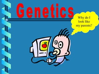 Genetics Why do I look like my parents? 