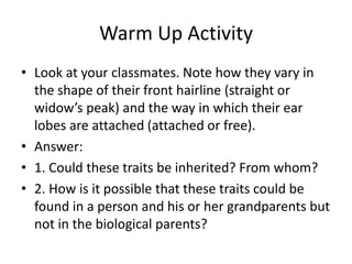 Warm Up Activity Look at your classmates. Note how they vary in the shape of their front hairline (straight or widow’s peak) and the way in which their ear lobes are attached (attached or free). Answer: 1. Could these traits be inherited? From whom? 2. How is it possible that these traits could be found in a person and his or her grandparents but not in the biological parents? 