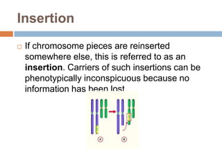 Insertion
   If chromosome pieces are reinserted
    somewhere else, this is referred to as an
    insertion. Carriers of such insertions can be
    phenotypically inconspicuous because no
    information has been lost.
 