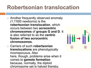 Robertsonian translocation
   Another frequently observed anomaly
    (1:1'000 newborns) is the
    robertsonian translocation, which
    occurs between two acrocentric
    chromosomes of groups G and D. It
    is also referred to as the centric
    fusion of two acrocentric
    chromosomes.
   Carriers of such robertsonian
    translocations are phenotypically
    inconspicuous. Also
    here, though, problems arise when it
    comes to gamete formation
    because, normally, the diploid
    chromosome set is halved thereby.
 