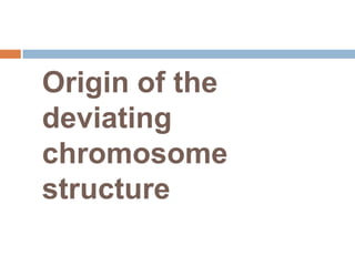 Origin of the
deviating
chromosome
structure
 