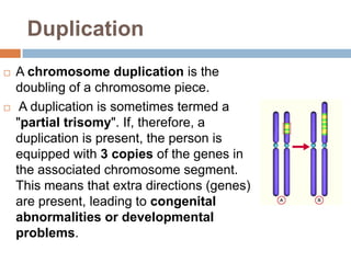 Duplication
   A chromosome duplication is the
    doubling of a chromosome piece.
    A duplication is sometimes termed a
    "partial trisomy". If, therefore, a
    duplication is present, the person is
    equipped with 3 copies of the genes in
    the associated chromosome segment.
    This means that extra directions (genes)
    are present, leading to congenital
    abnormalities or developmental
    problems.
 