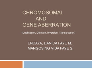 CHROMOSOMAL
    AND
GENE ABERRATION
(Duplication, Deletion, Inversion, Translocation)



     ENDAYA, DANICA FAYE M.
     MANGOSING VIDA FAYE S.
 