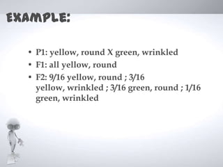 Example:

  • P1: yellow, round X green, wrinkled
  • F1: all yellow, round
  • F2: 9/16 yellow, round ; 3/16
    yellow, wrinkled ; 3/16 green, round ; 1/16
    green, wrinkled
 