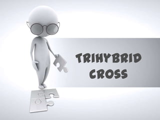 Trihybrid
  cross
 