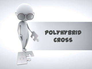 POLYHYBRID
  CROSS
 