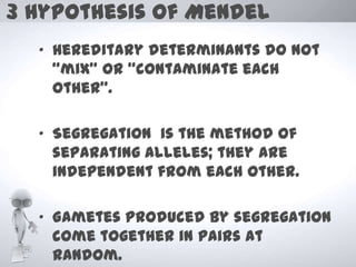 3 Hypothesis of Mendel
  „ Hereditary determinants do not
    “mix” or “contaminate each
    other”.

  „ Segregation is the method of
    separating alleles; they are
    independent from each other.

  „ Gametes produced by segregation
    come together in pairs at
    random.
 