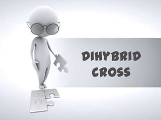 Dihybrid
 cross
 