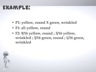 Example:

  • P1: yellow, round X green, wrinkled
  • F1: all yellow, round
  • F2: 9/16 yellow, round ; 3/16 yellow,
    wrinkled ; 3/16 green, round ; 1/16 green,
    wrinkled
 