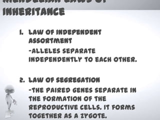 Mendelian laws of
Inheritance
  1. Law of independent
     assortment
     -alleles separate
     independently to each other.

  2. Law of segregation
     -the paired genes separate in
     the formation of the
     reproductive cells. It forms
     together as a zygote.
 