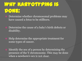 Why Karyotyping is
done:
   Determine whether chromosomal problems may
    have caused a fetus to be stillborn.

   Determine the cause of a baby's birth defects or
    disability.

   Help determine the appropriate treatment for
    some types of cancer.

   Identify the sex of a person by determining the
    presence of the Y chromosome. This may be done
    when a newborn's sex is not clear.
 